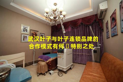武汉叶子与叶子连锁品牌的合作模式有何 ☘ 特别之处